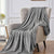 Luxury Redos Microfiber Blankets