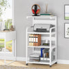 Alvaro Kitchen Moving Trolley Organizer Rack