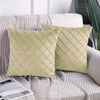 Executive Velvet Cushion Pack Of 2